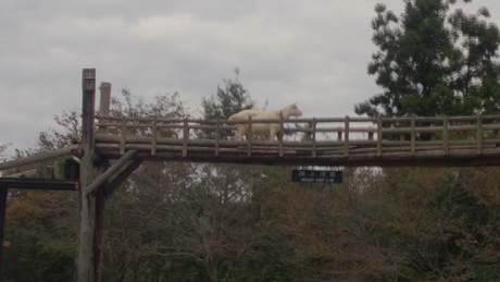 e0110690_22591889.jpg