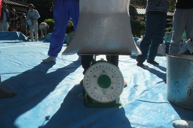 e0070891_17263679.jpg