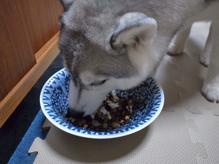 お散歩やっほー♪_c0049299_1082137.jpg