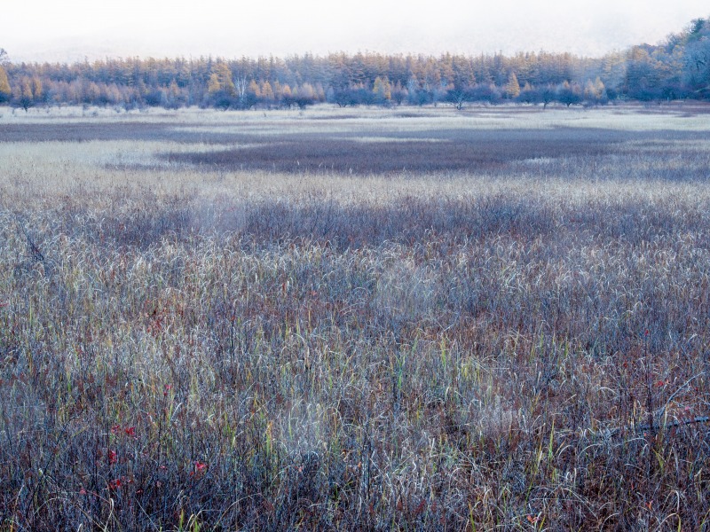 f0224100_7555843.jpg