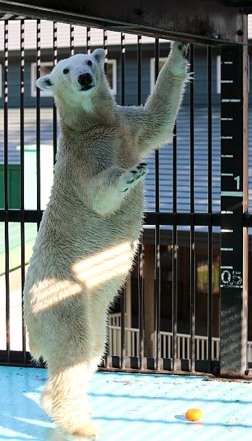 c0155902_2014169.jpg