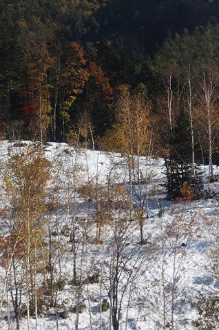 c0155902_20172356.jpg