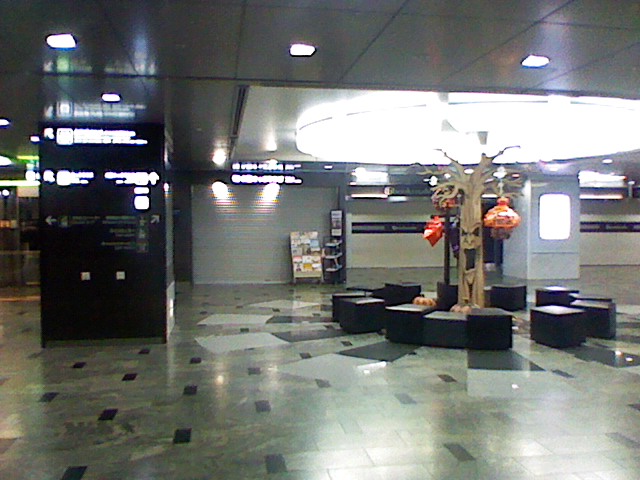 b0047503_0135662.jpg