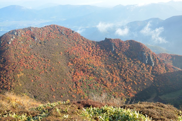b0277008_8514458.jpg