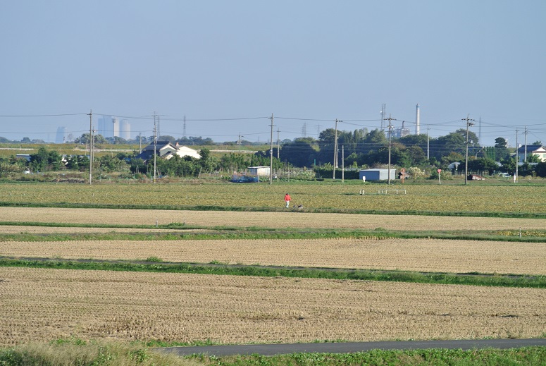 f0179209_9213999.jpg