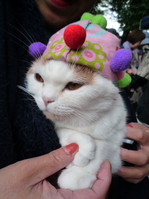 昨日は　上賀茂神社手作り市　_b0259210_144238100.jpg