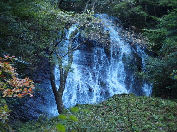 d0198313_10281830.jpg