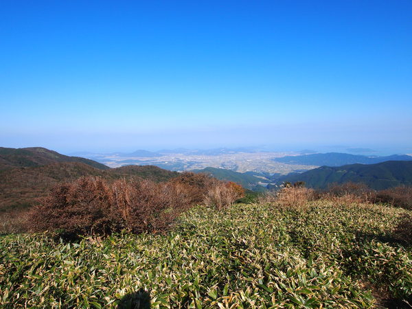 d0198313_10401439.jpg