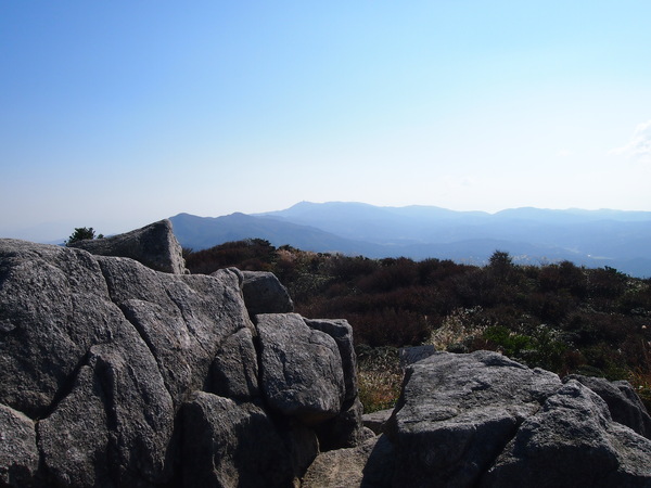 d0198313_10413444.jpg