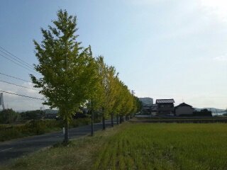 b0247223_12483445.jpg