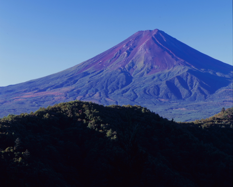 素敵な富士山_d0240223_3363372.jpg