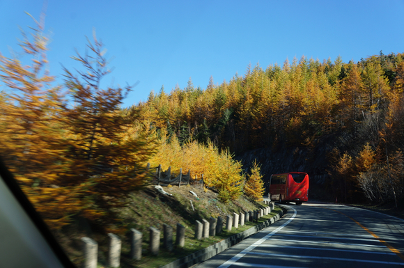 紅葉の富士山、アゲイン_f0234023_6522289.jpg