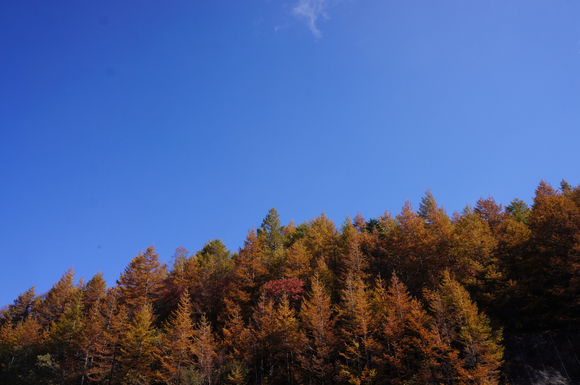 紅葉の富士山、アゲイン_f0234023_652364.jpg