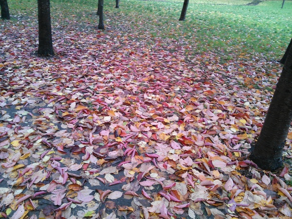 f0018926_23593114.jpg