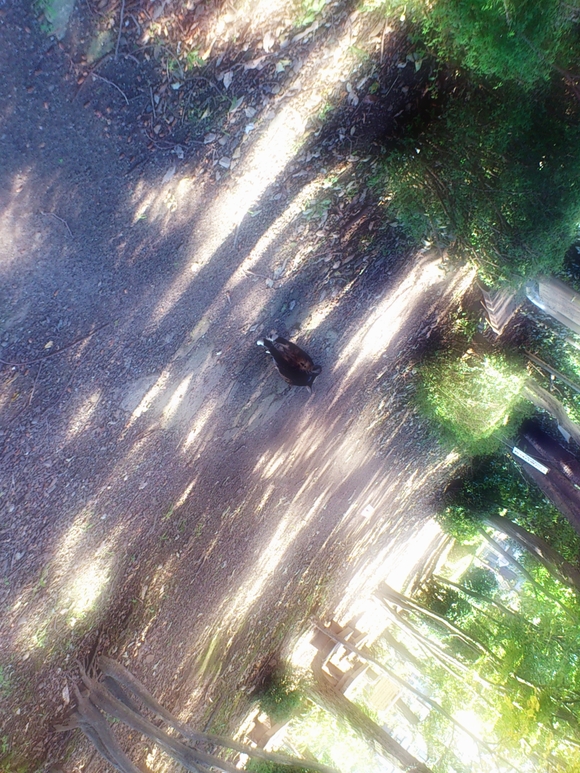 f0249630_22282999.jpg