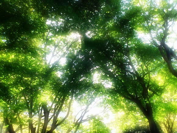f0249630_2232131.jpg
