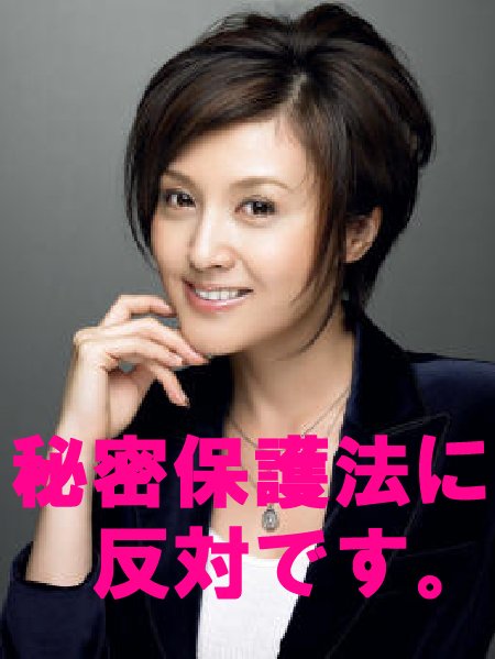 秘密保護法反対の巨大デモを - プラカードに藤原紀香を_b0090336_18163177.jpg