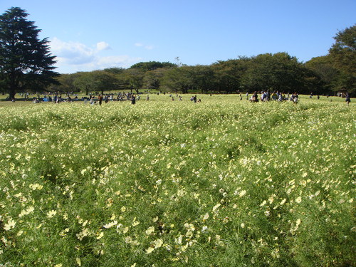 c0146040_11134614.jpg