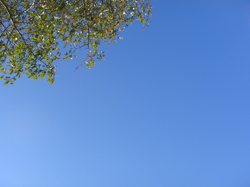c0146040_11145450.jpg