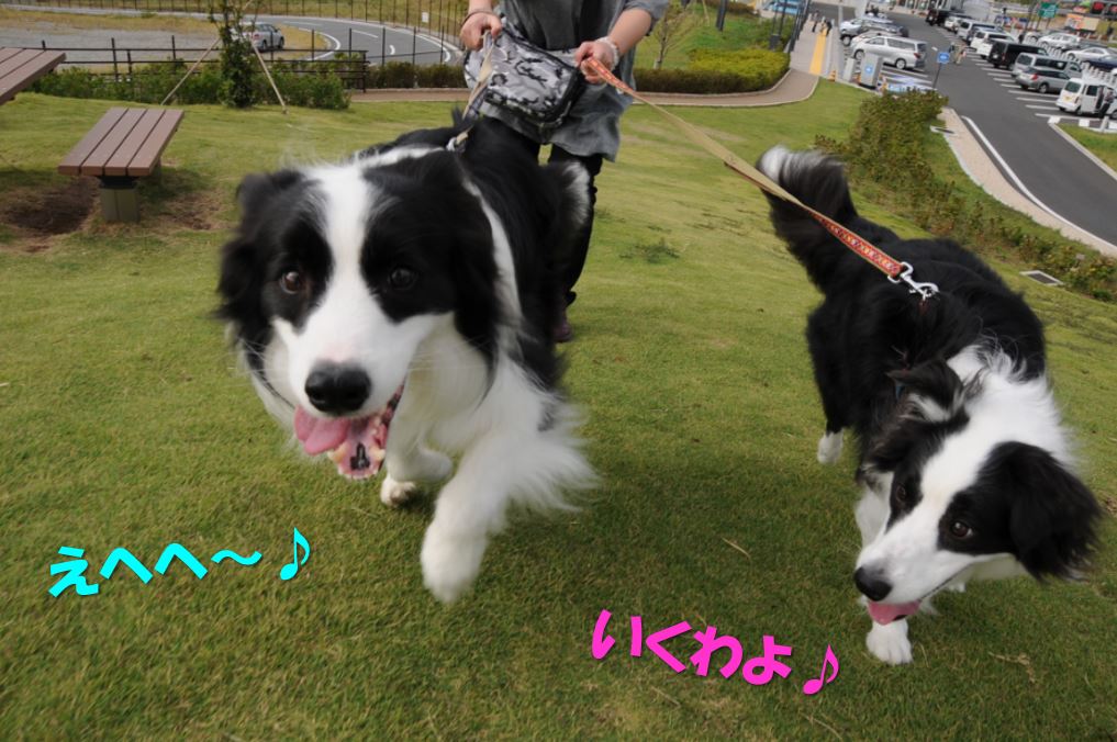 c0147241_20421830.jpg