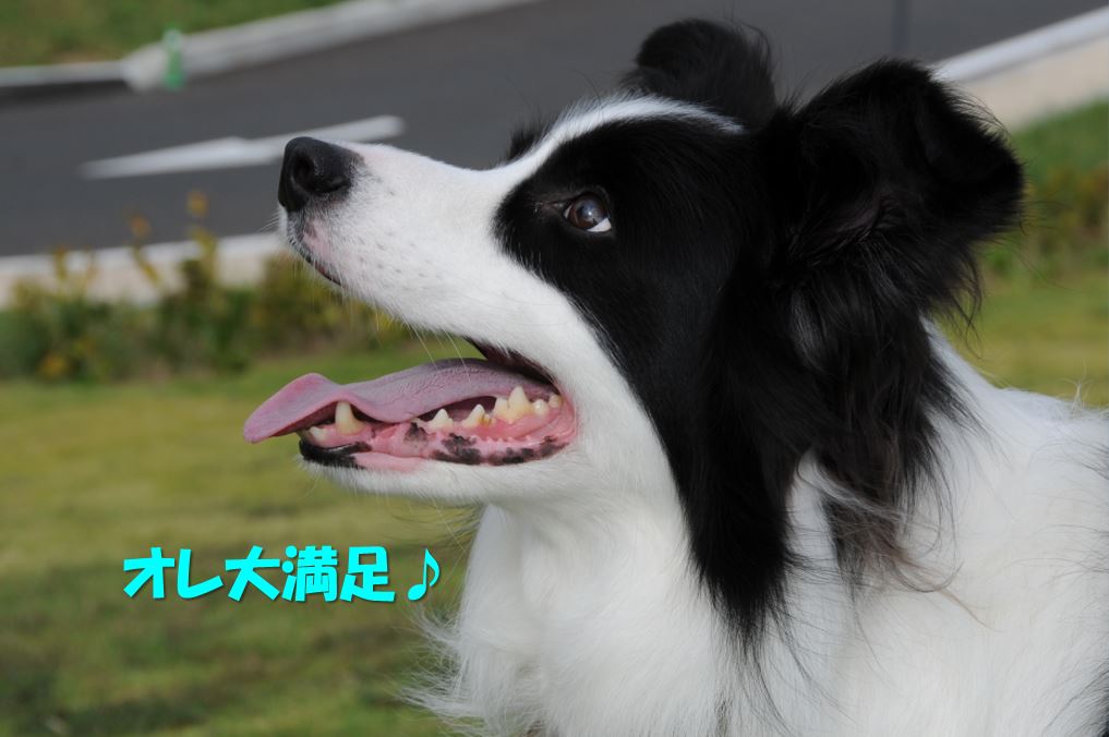 c0147241_20423769.jpg