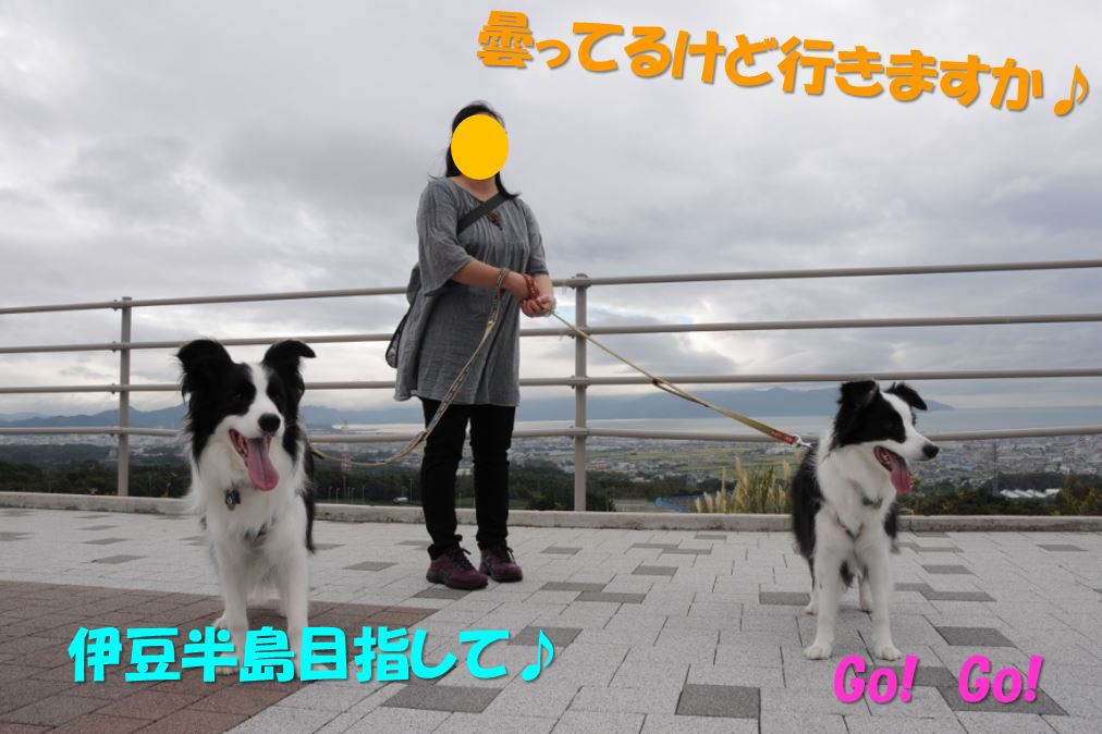 c0147241_2042473.jpg