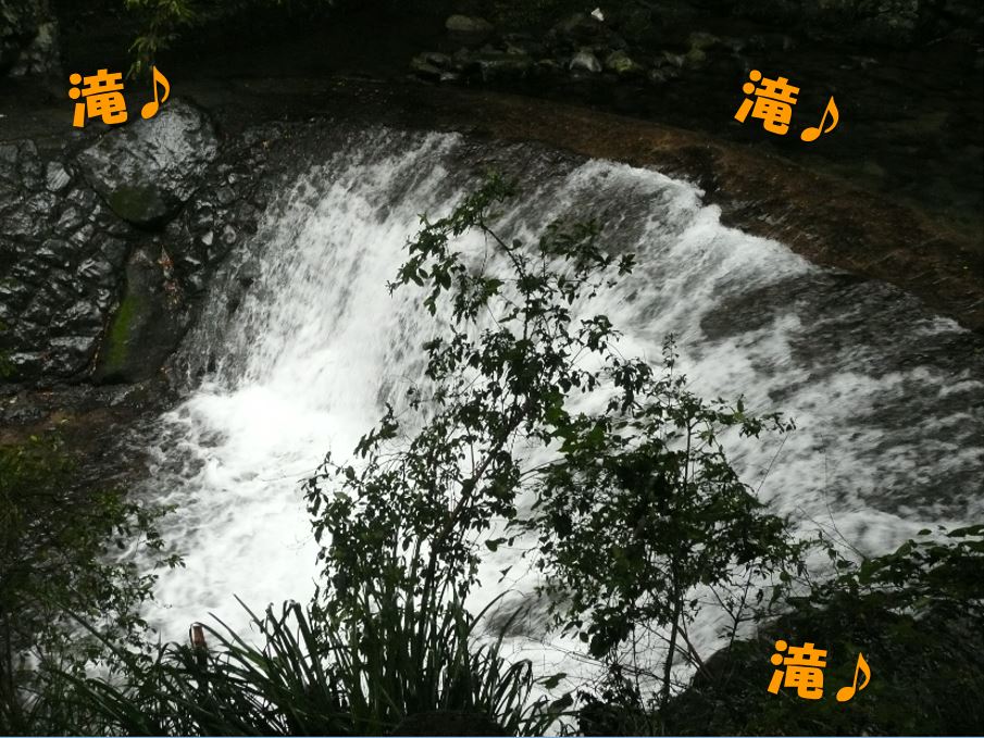 c0147241_20453363.jpg