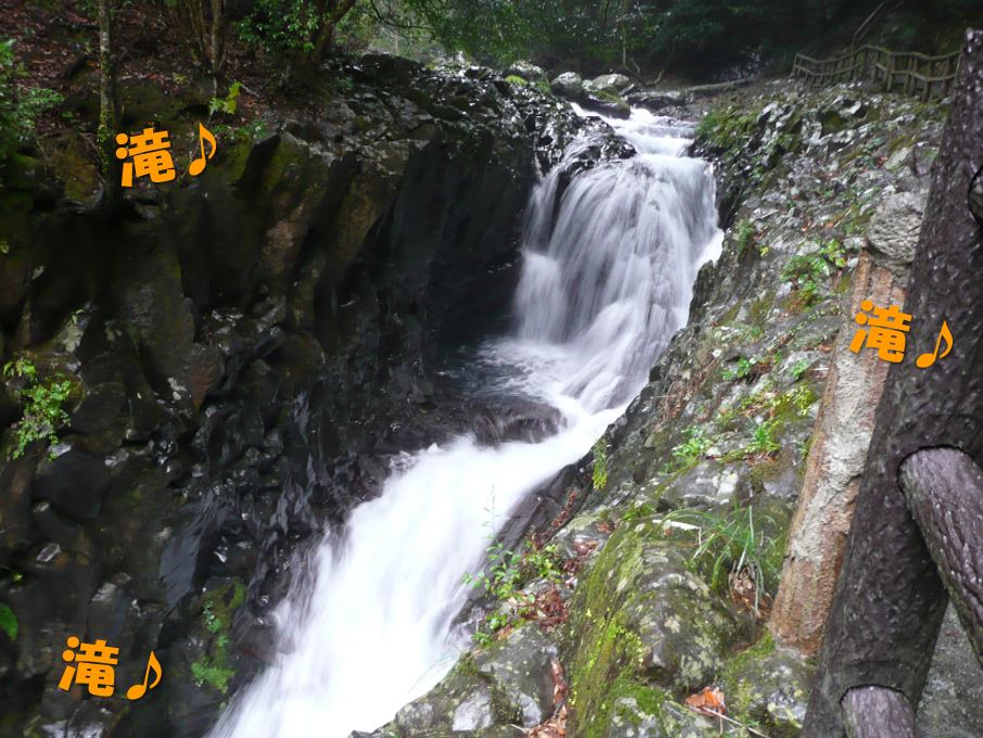 c0147241_20454055.jpg