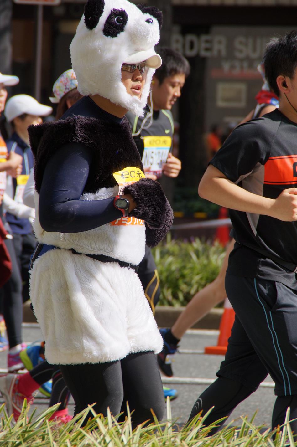  2013大阪マラソン、コスプレ大図鑑_b0017844_13382875.jpg
