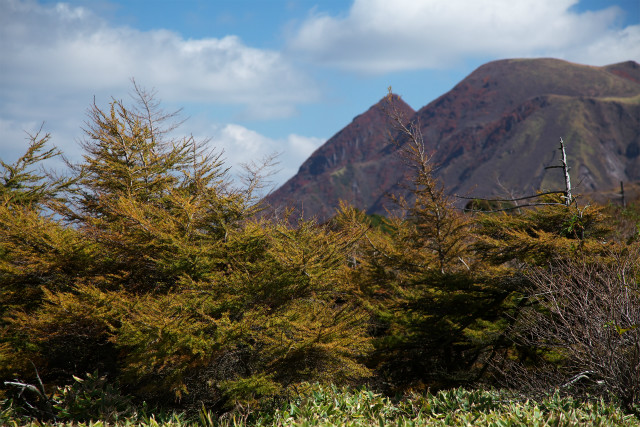 今日はバタバタ紅葉山行_e0151447_20491582.jpg