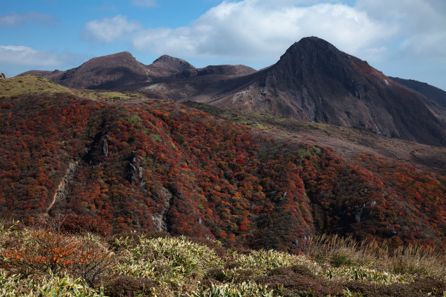 今日はバタバタ紅葉山行_e0151447_20513850.jpg