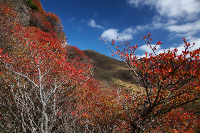 今日はバタバタ紅葉山行_e0151447_2053449.jpg