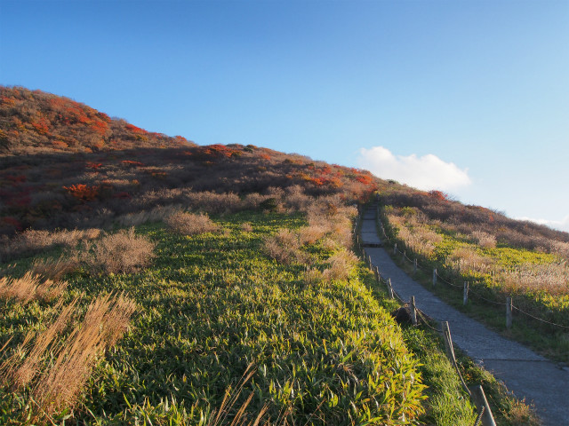 今日はバタバタ紅葉山行_e0151447_2103250.jpg