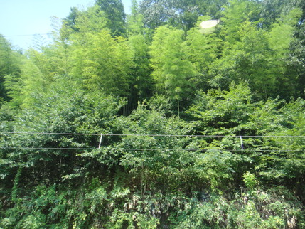 d0225149_11361593.jpg