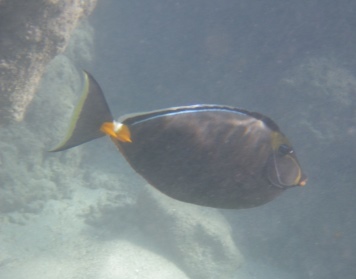 b0126453_330170.jpg