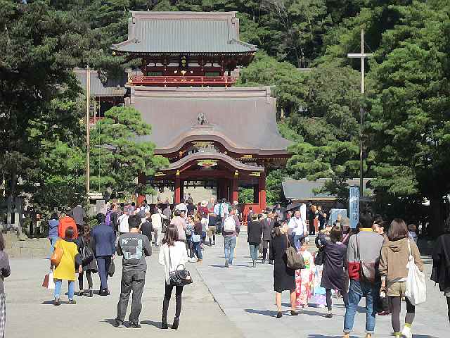 【七五三参りで賑わう鎌倉鶴岡八幡宮】_c0042960_16383926.jpg