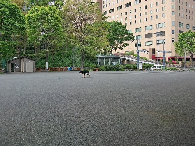 d0154964_8411024.jpg