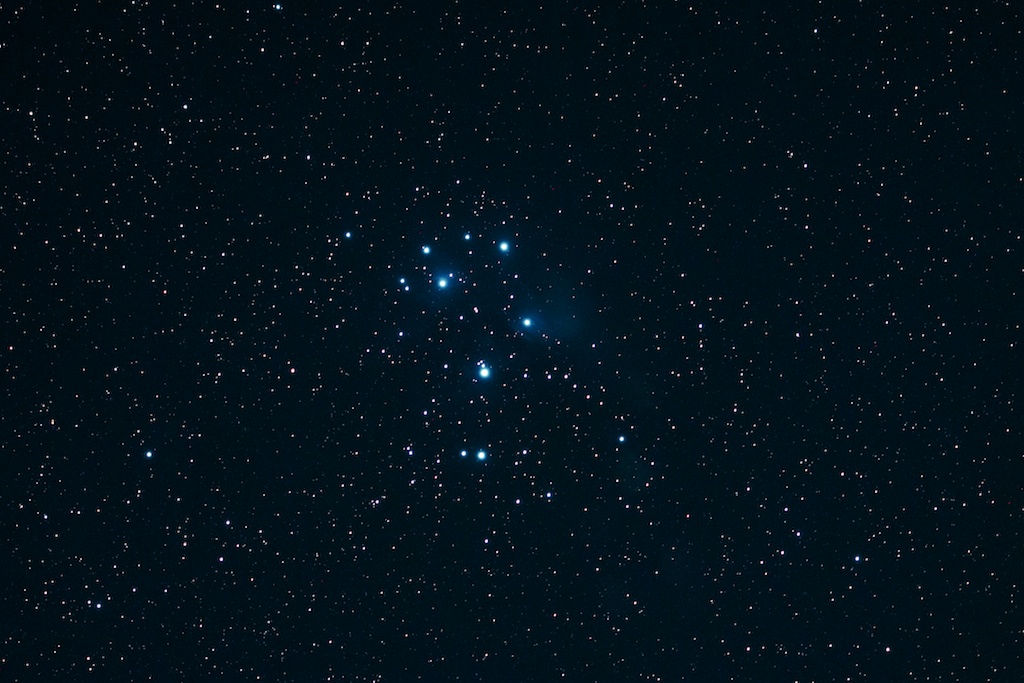 b0039170_2045195.jpg