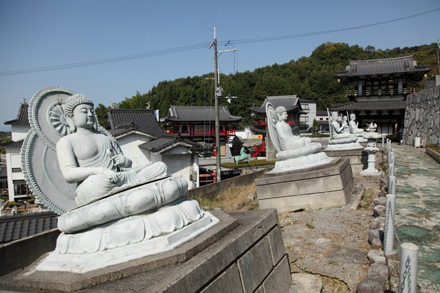 佐和山遊園再訪（再録）_c0196076_12552369.jpg