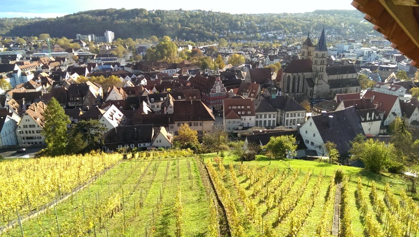 d0116376_8381572.jpg