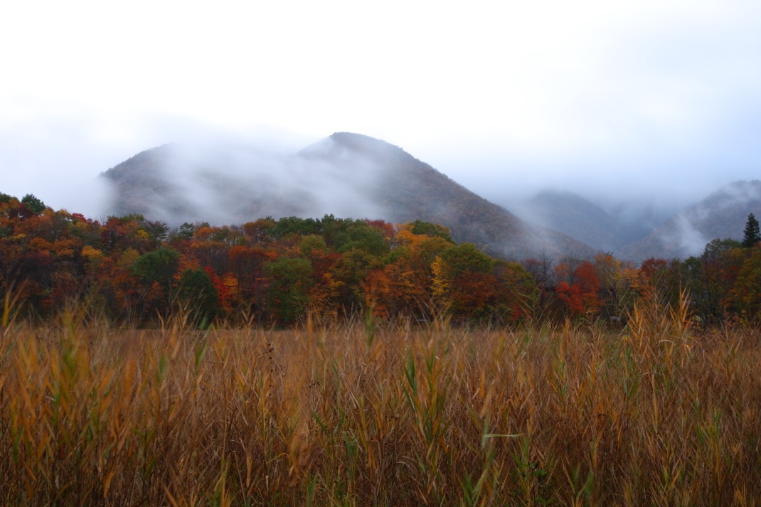 観音沼紅葉　＜１＞　会津下郷　２０１３・１０・２７_e0143883_215872.jpg