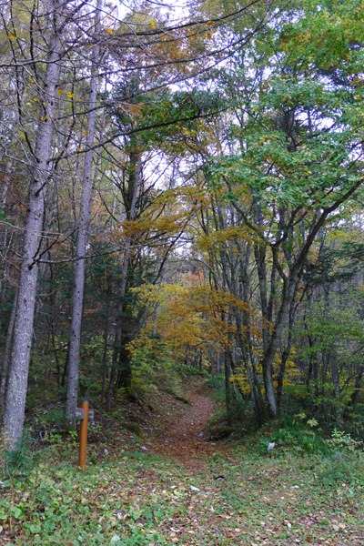 a0130586_19545191.jpg
