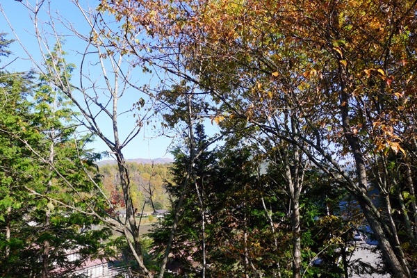 a0130586_9394828.jpg
