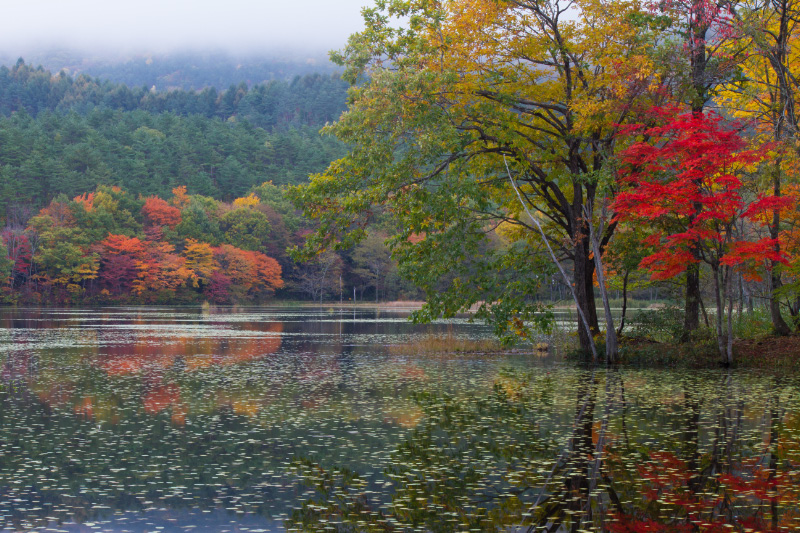 福島県下郷町　観音沼公園_c0092386_7265480.jpg