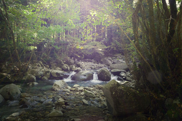 c0168986_1523844.jpg