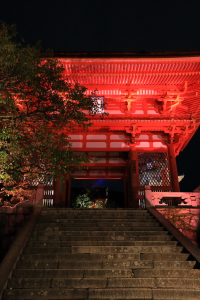 清水寺_e0051888_12112487.jpg
