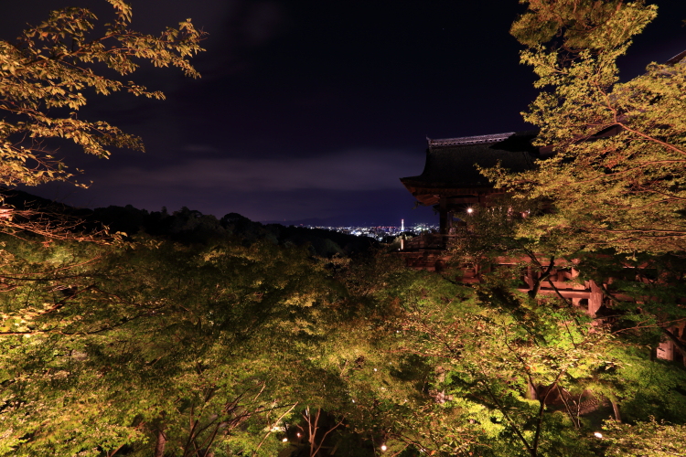 清水寺_e0051888_1212855.jpg