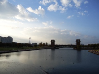 a0137789_9594130.jpg