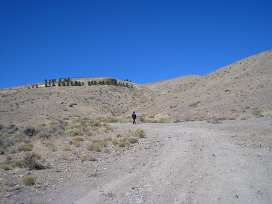 e0326991_8595539.jpg