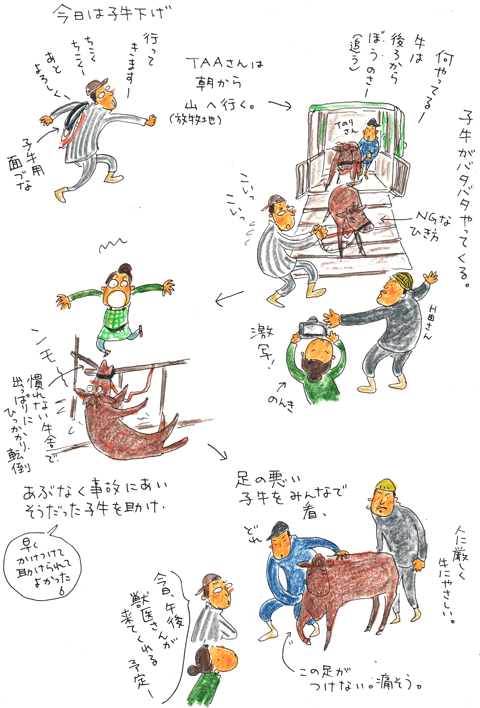 f0236291_5505830.gif